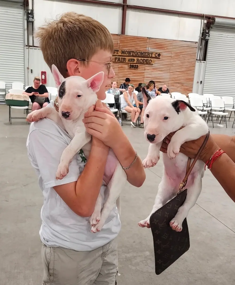 AABY Foundation rebranding, continuing pet services in New Caney