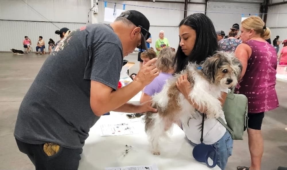 New Caney-based AABY Foundation helps provide veterinary services for community members in need