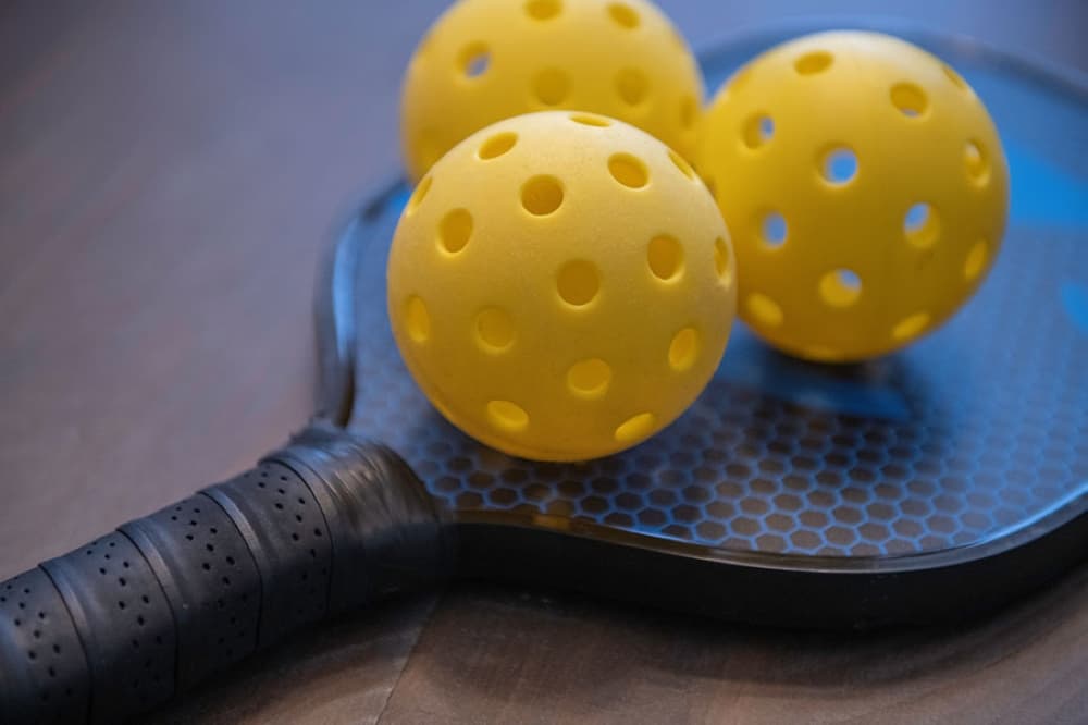 The Samaritan Inn debuts donated pickleball court in McKinney
