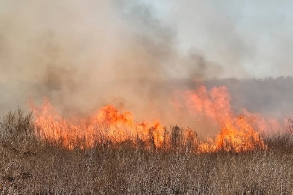 Denton County lifts burn ban after rainy weekend