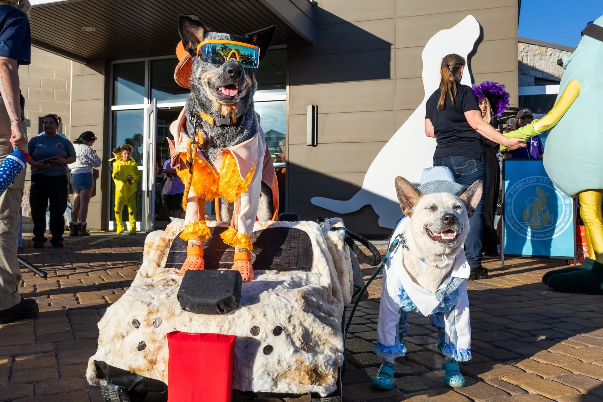 Hallowoof, Manvel Music Fall Festival: Check out 10 events in Pearland, Friendswood, Manvel; Oct. 15-Nov. 14