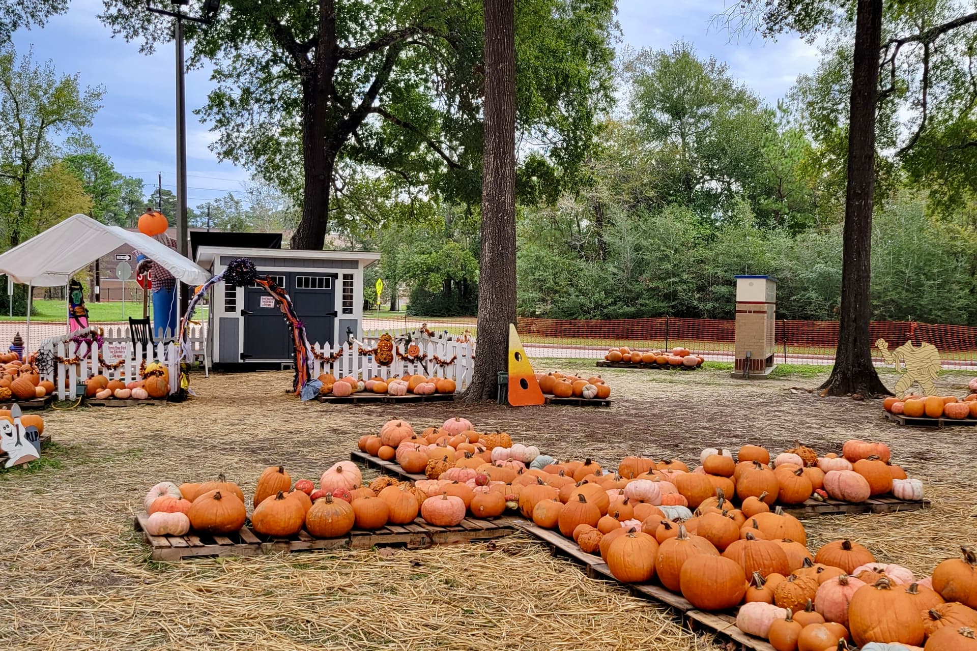 Fall festivals, Halloween movies; 7 fall events to kick off the season in Spring-Klein